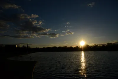 DSC_7141 (Large).JPG